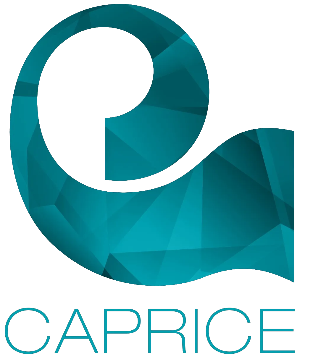 Caprice knitwear client Apex Corporation Pakistan